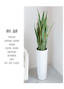 海曙花木租摆设计